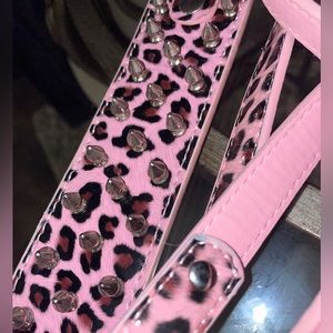 Dog leash and collar